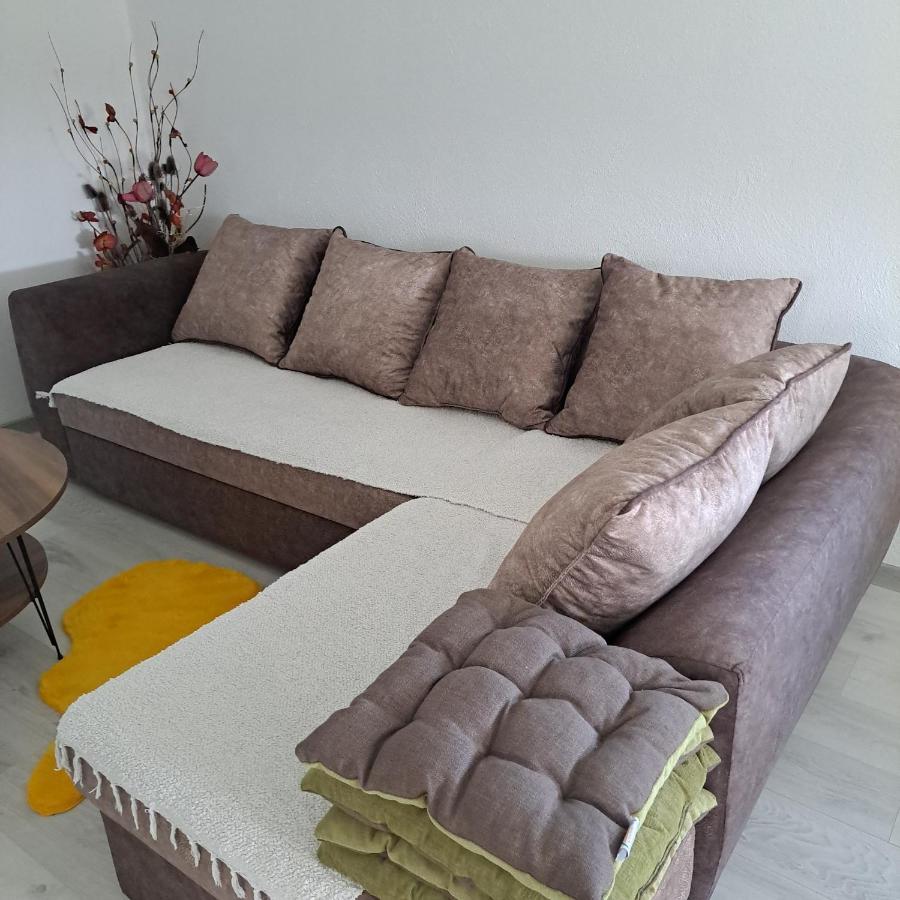 Knezevic Apartman 波德戈里察 外观 照片